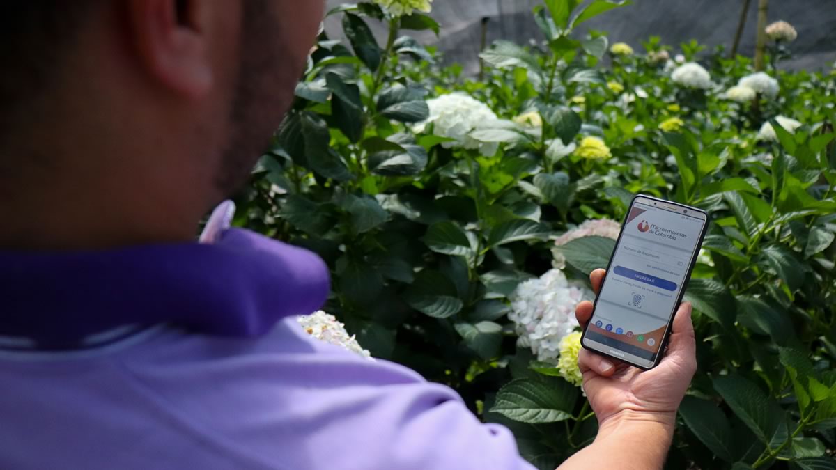 App móvil Microempresas