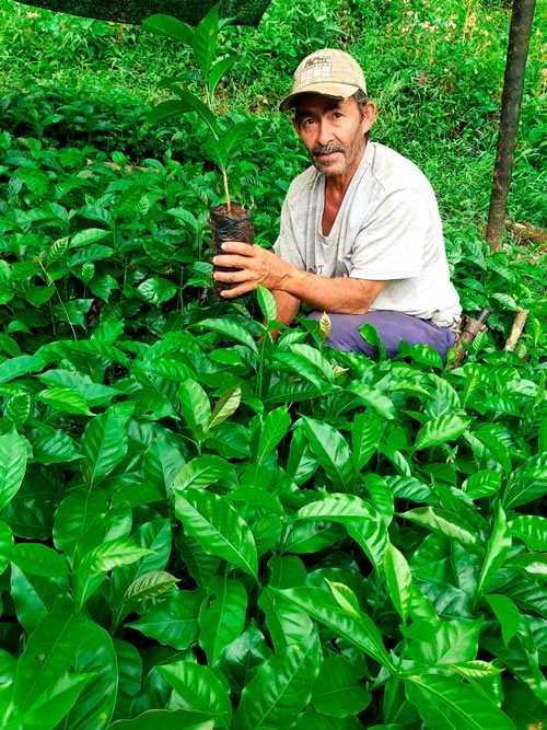 Luis Velilla