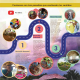 Ruta Etnoecoturística para el Rescate de la Cultura Ancestral Zenú