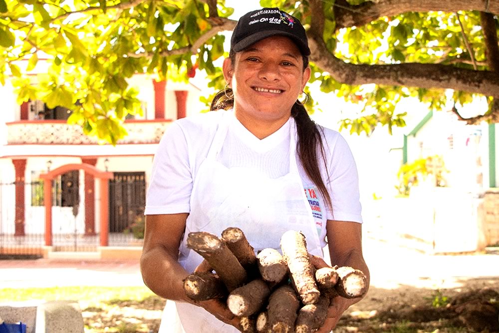 Impulso al Emprendimiento Rural Caribe