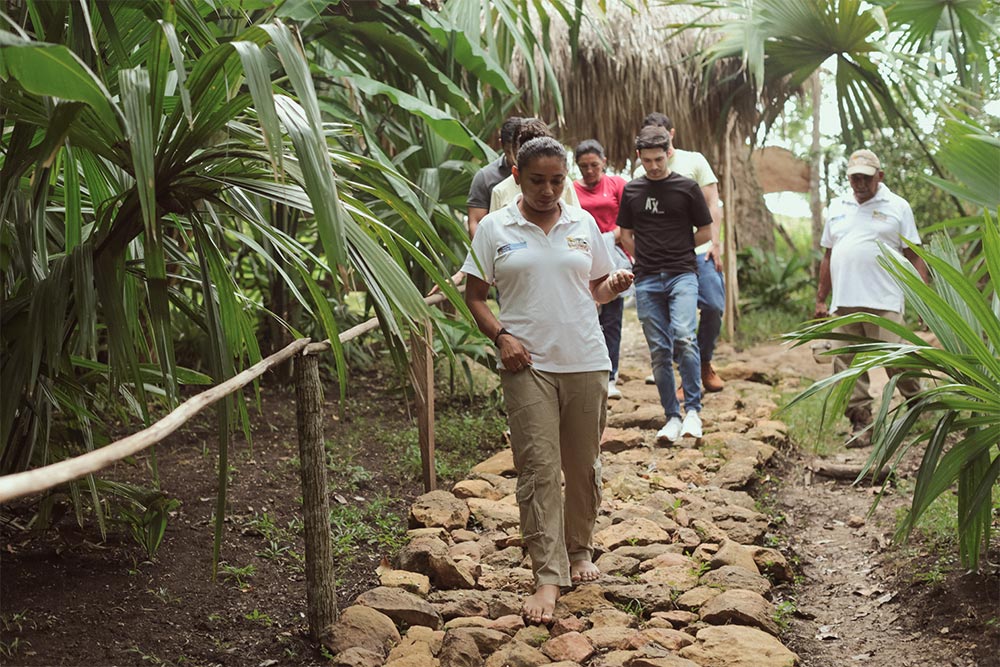 Comunidad indígena Zenú recibe aval de Negocio Verde en los Montes de María