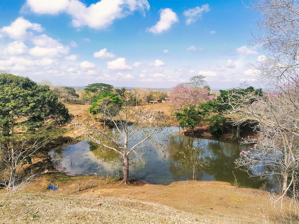 Colombia Sostenible