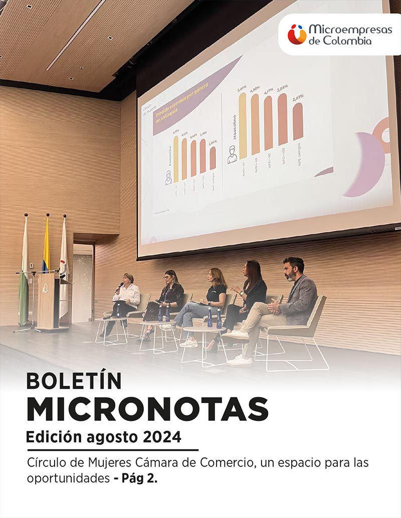 Micronotas Agosto 2024