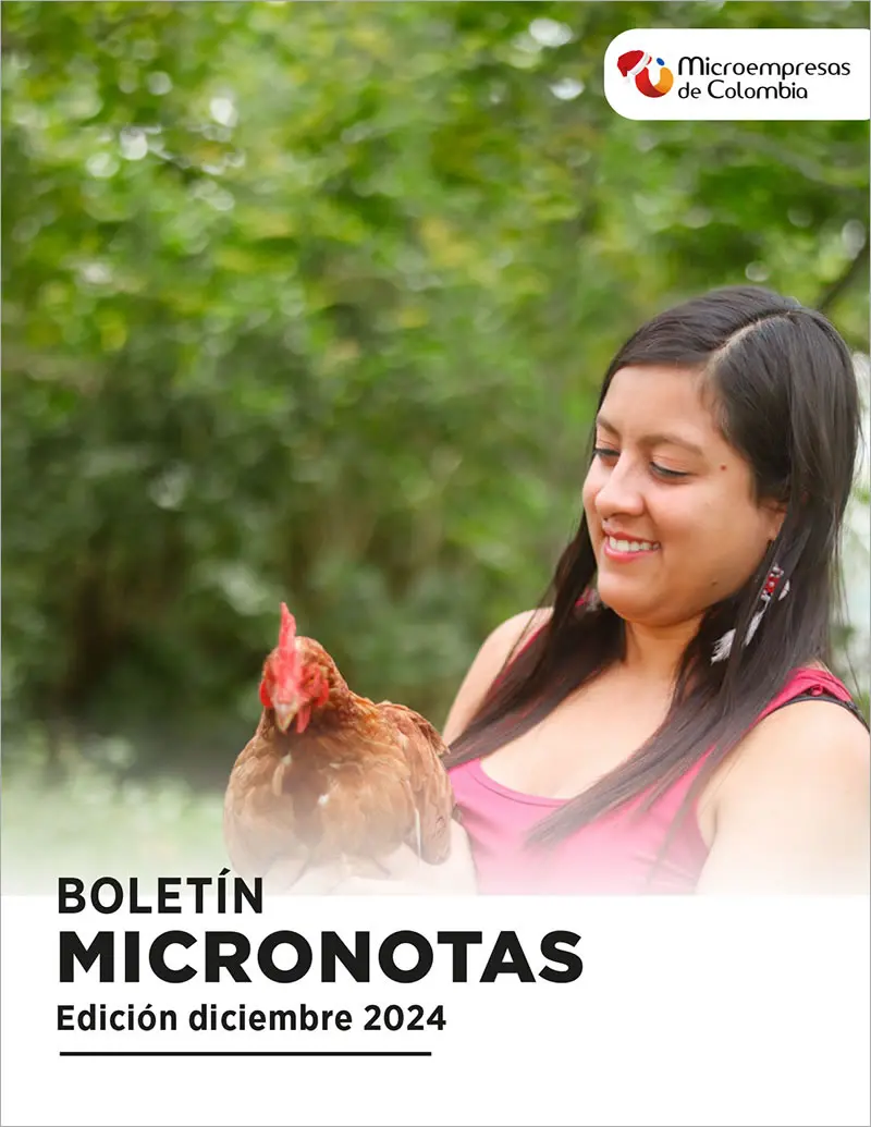 Micronotas diciembre 2024