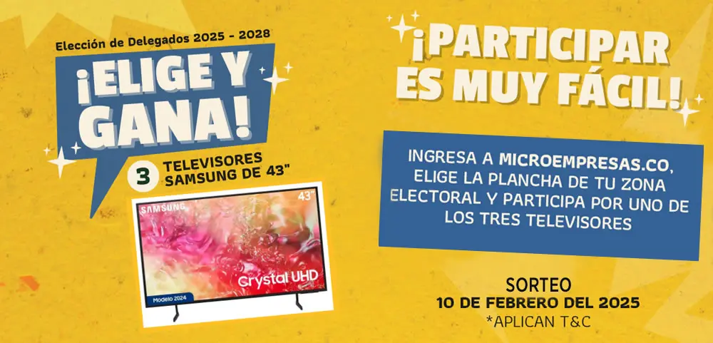 Sorteo elección Delegados