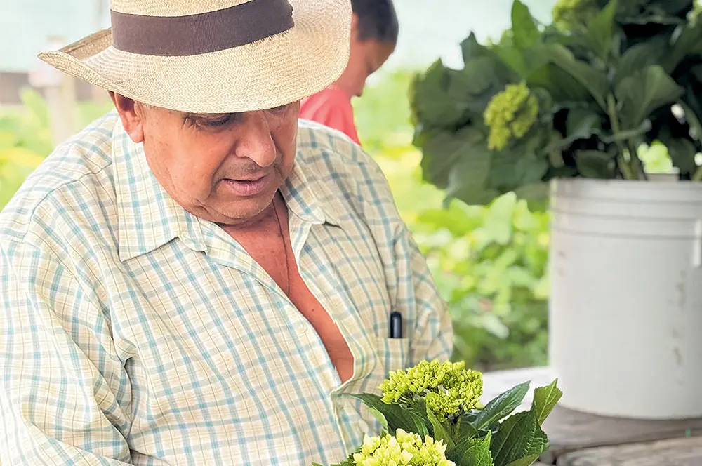Objetivos claros y acciones contundentes