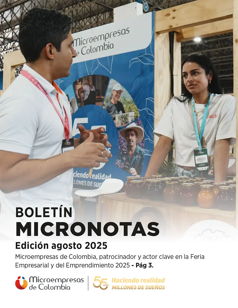 Micronotas - Agosto 2025